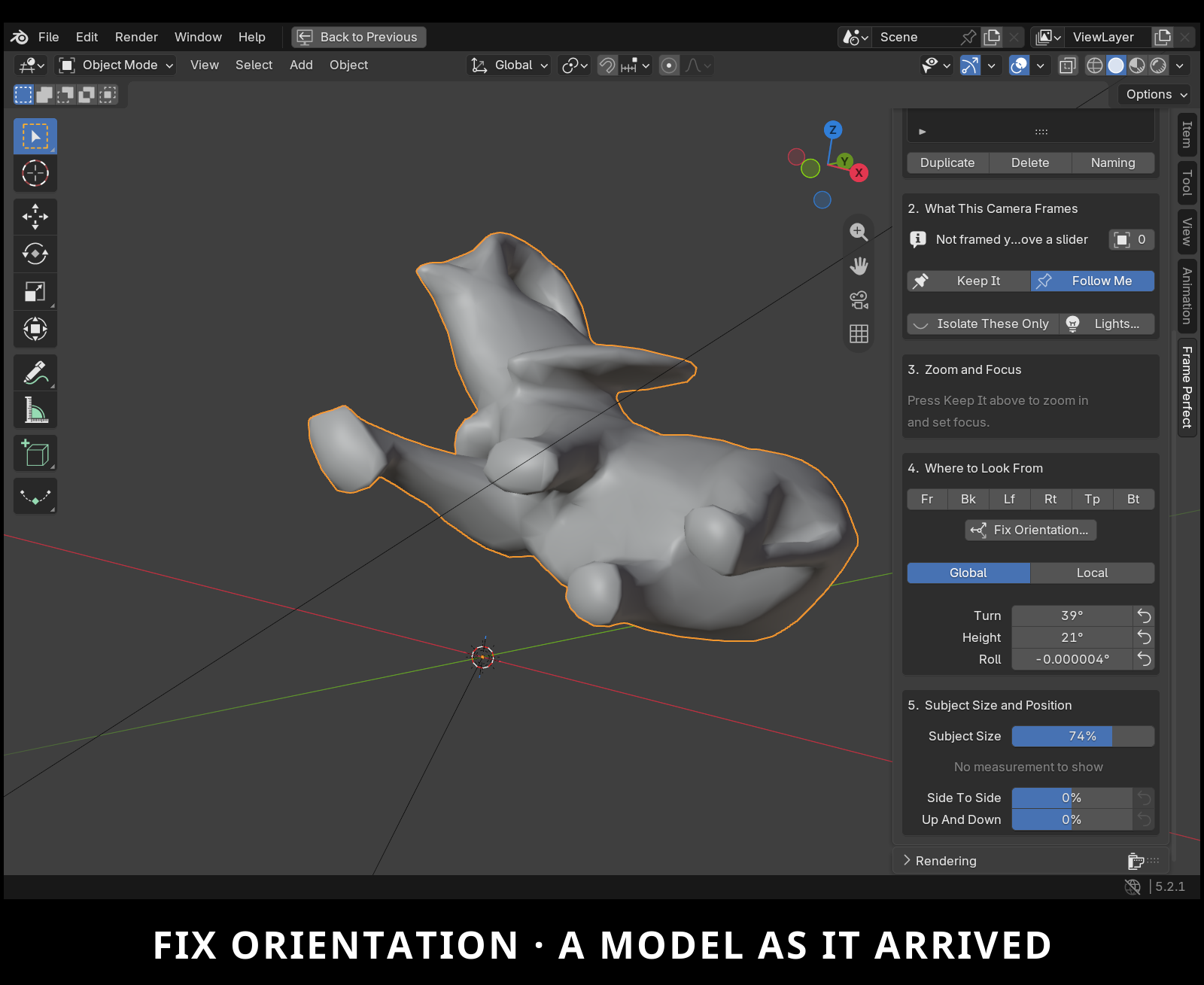 Fix Orientation Viewport Setup