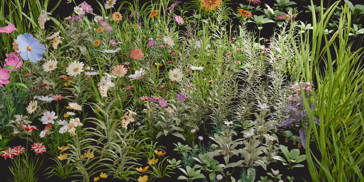 Flower & Herb World