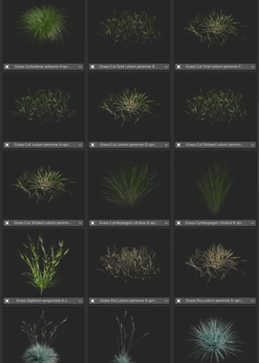 Examples of various assets from grass category