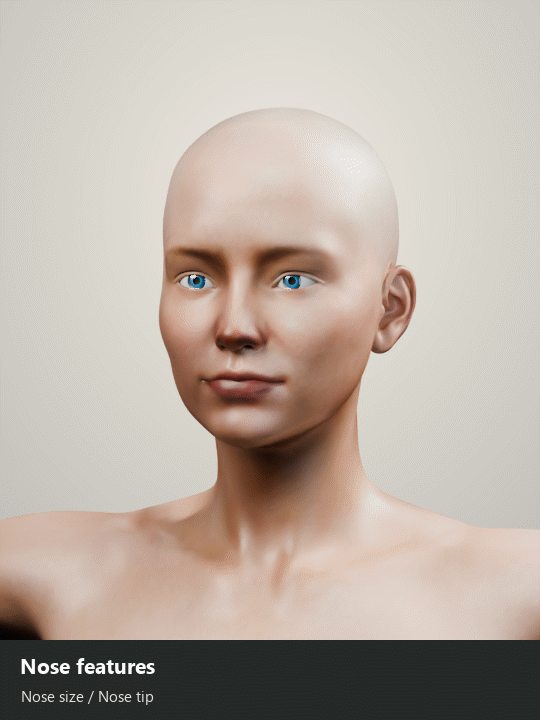 Nose size and nose tip