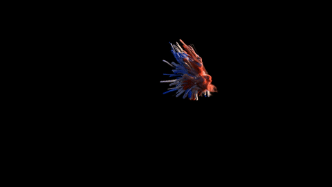 Placeholder for particles feeding a pyro simulation