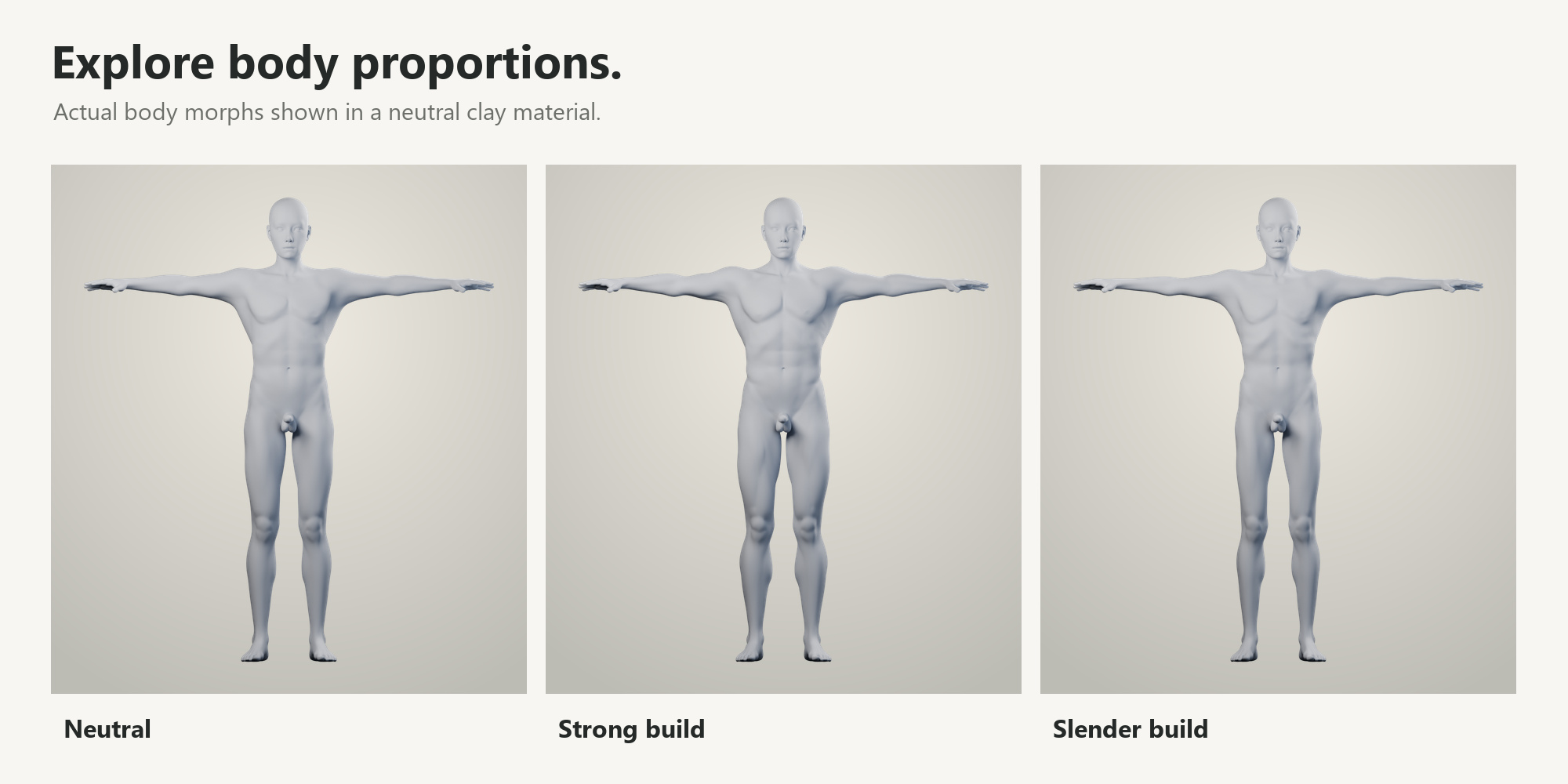 Neutral, strong and slender body proportions