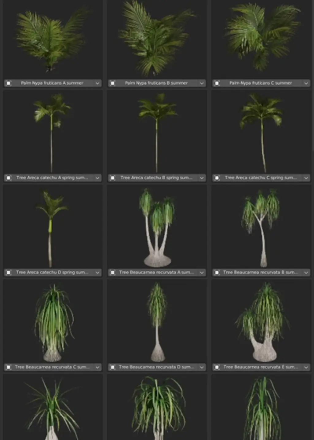 Examples of various assets from palms category