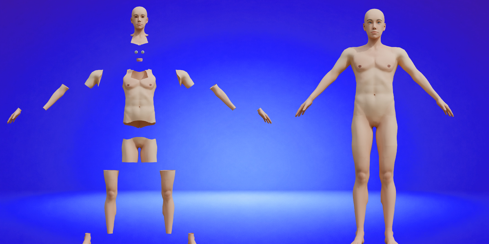Male modular parts preview