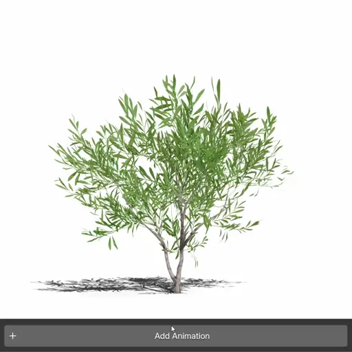 Animations demonstration