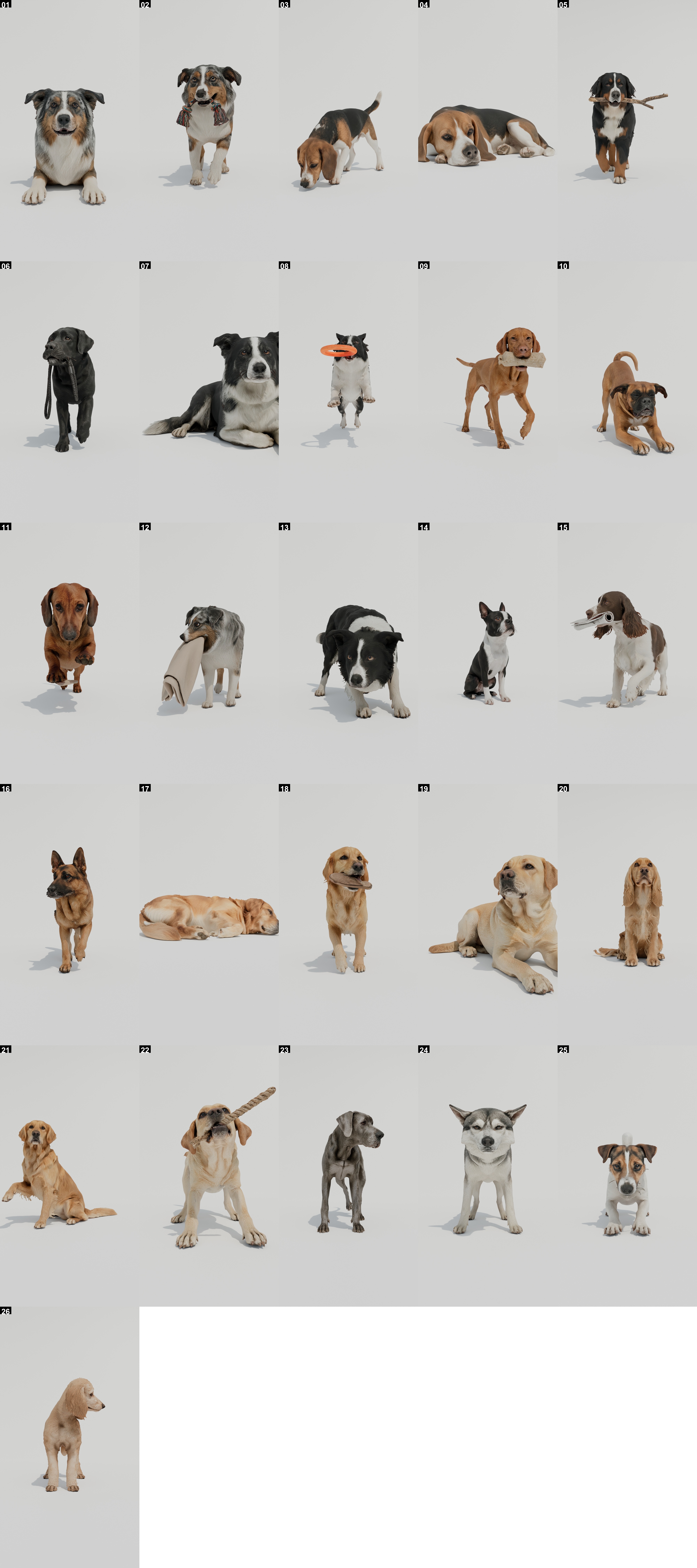 Full Domestic Dogs Collection with 26 models