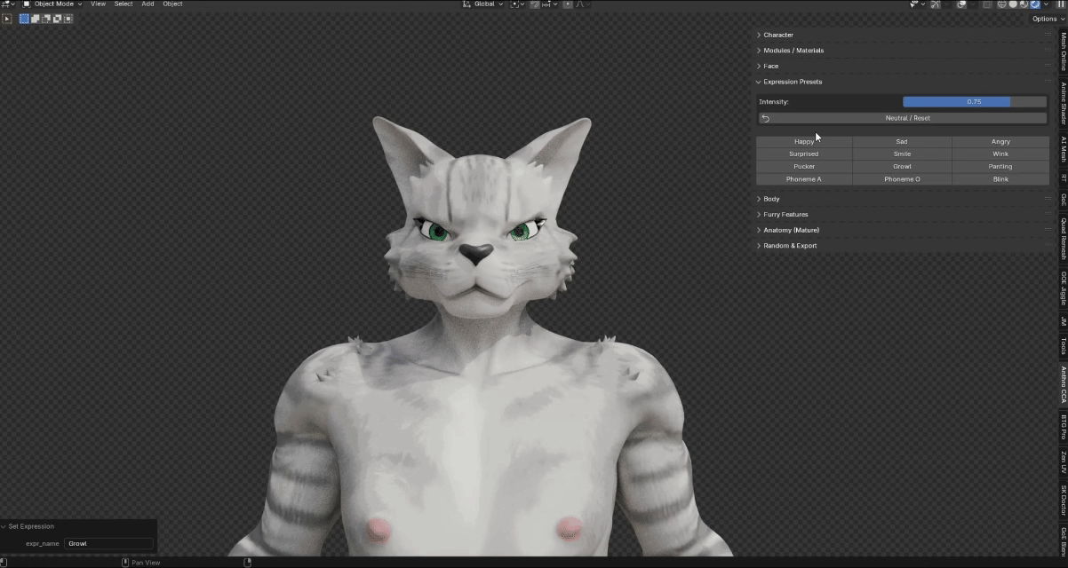 Expression presets