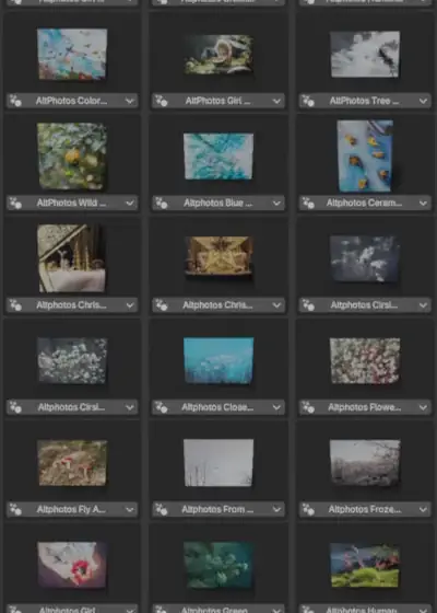 Examples of various assets from prints category