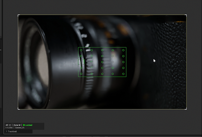 AF-C Zone M β real-time focus tracking with smooth depth of field