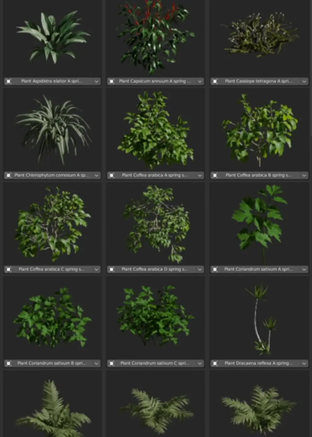 Examples of various assets from plants category