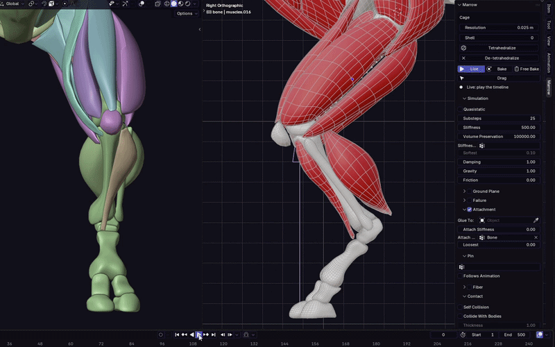 Muscle driven by a bone