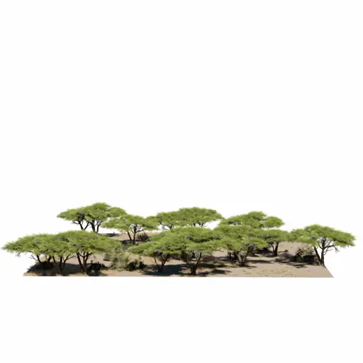 Botaniq Biomes demonstration