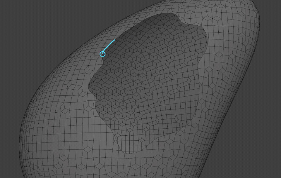 Interactive patch repair: fill a hole, adjust the surface and bridge open boundaries.