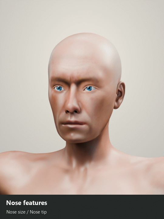 Nose size and nose tip