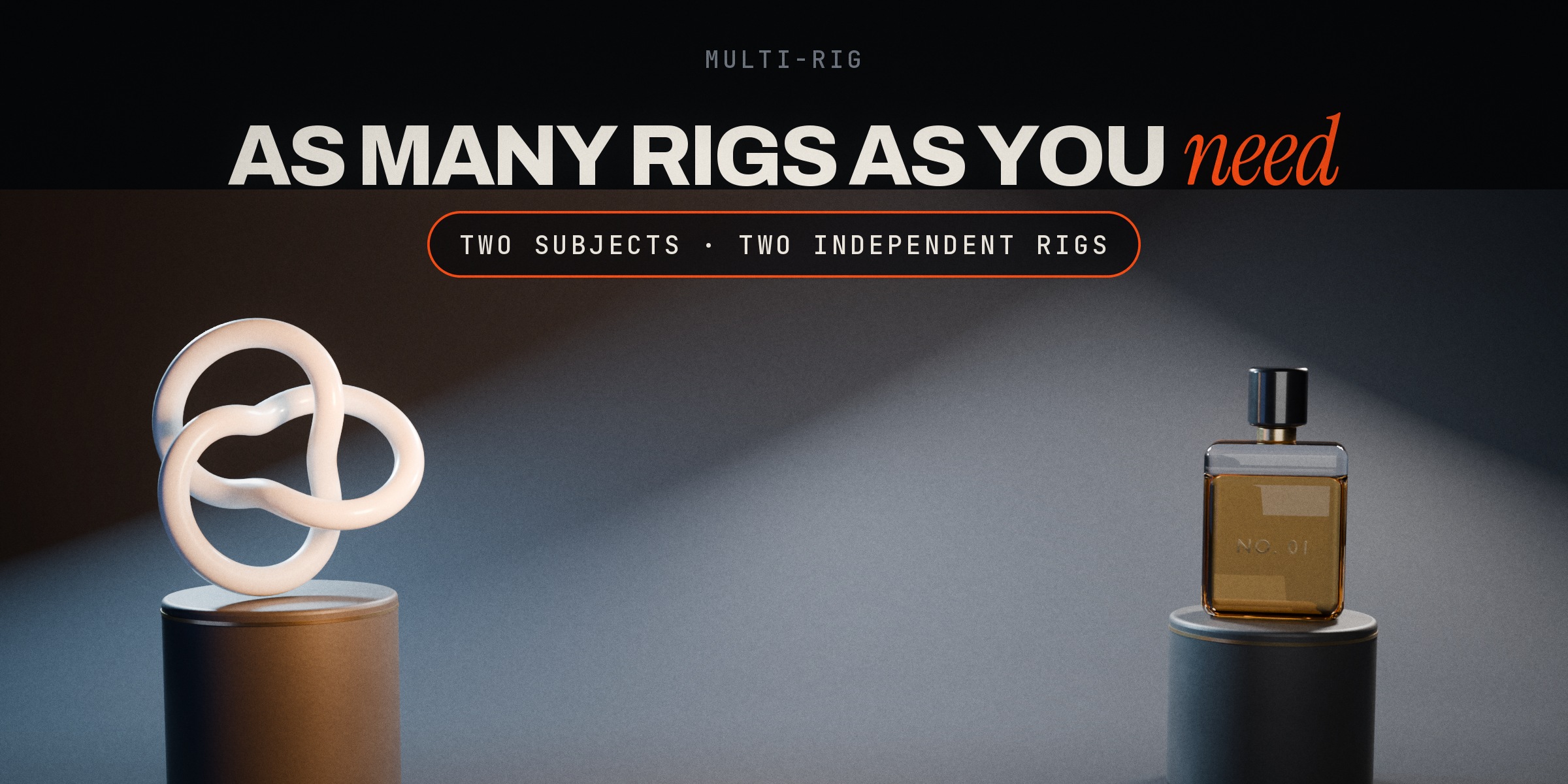 Two subjects, two independent rigs