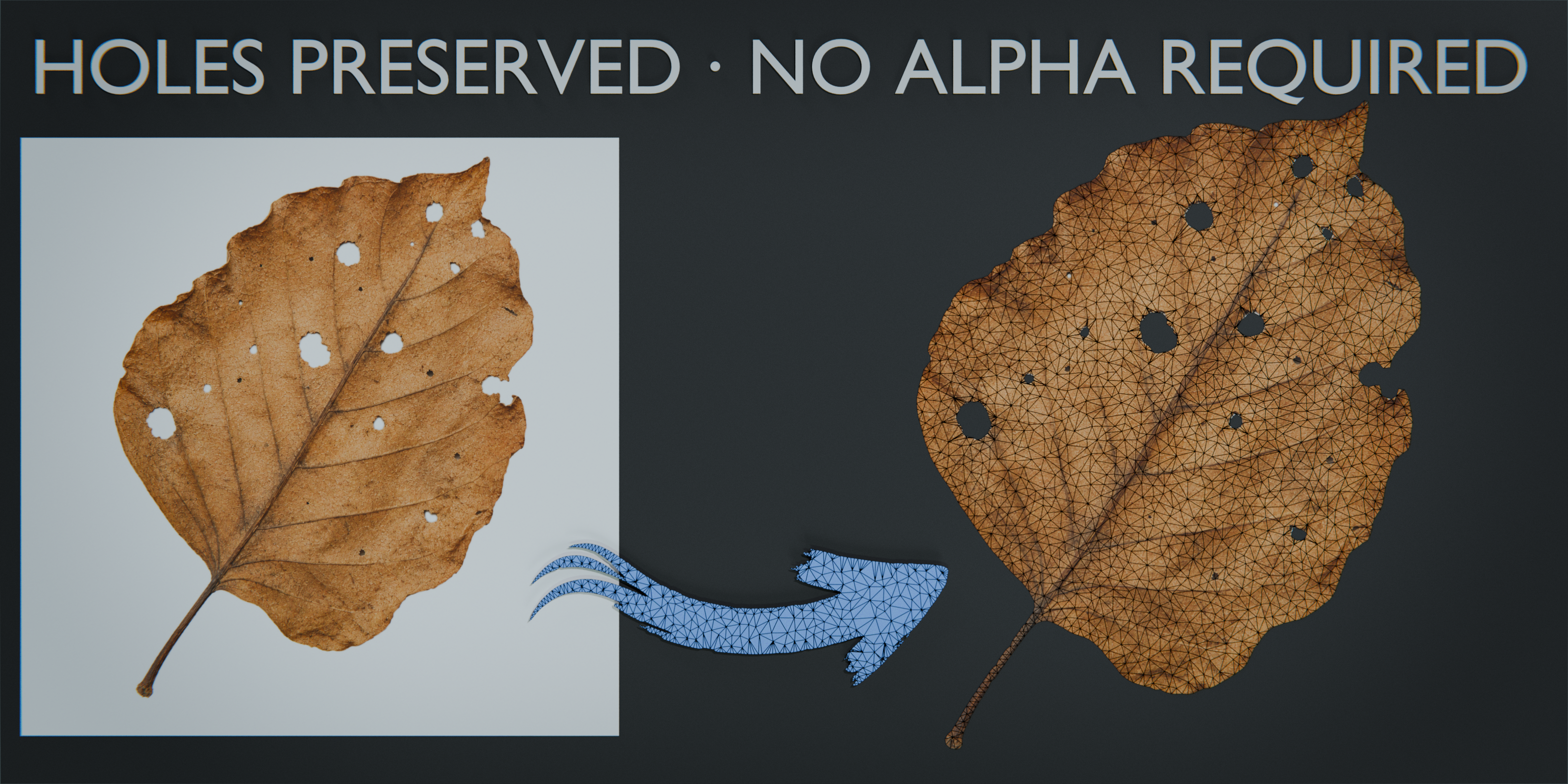 Internal holes preserved without requiring alpha
