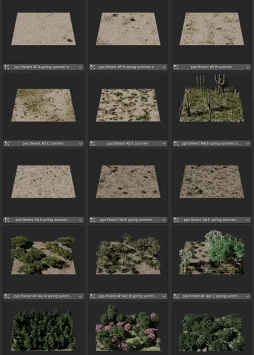 Examples of various assets from biomes category