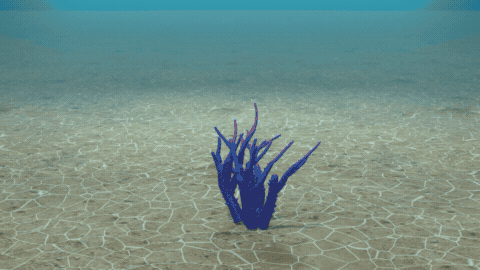 34 reef designs