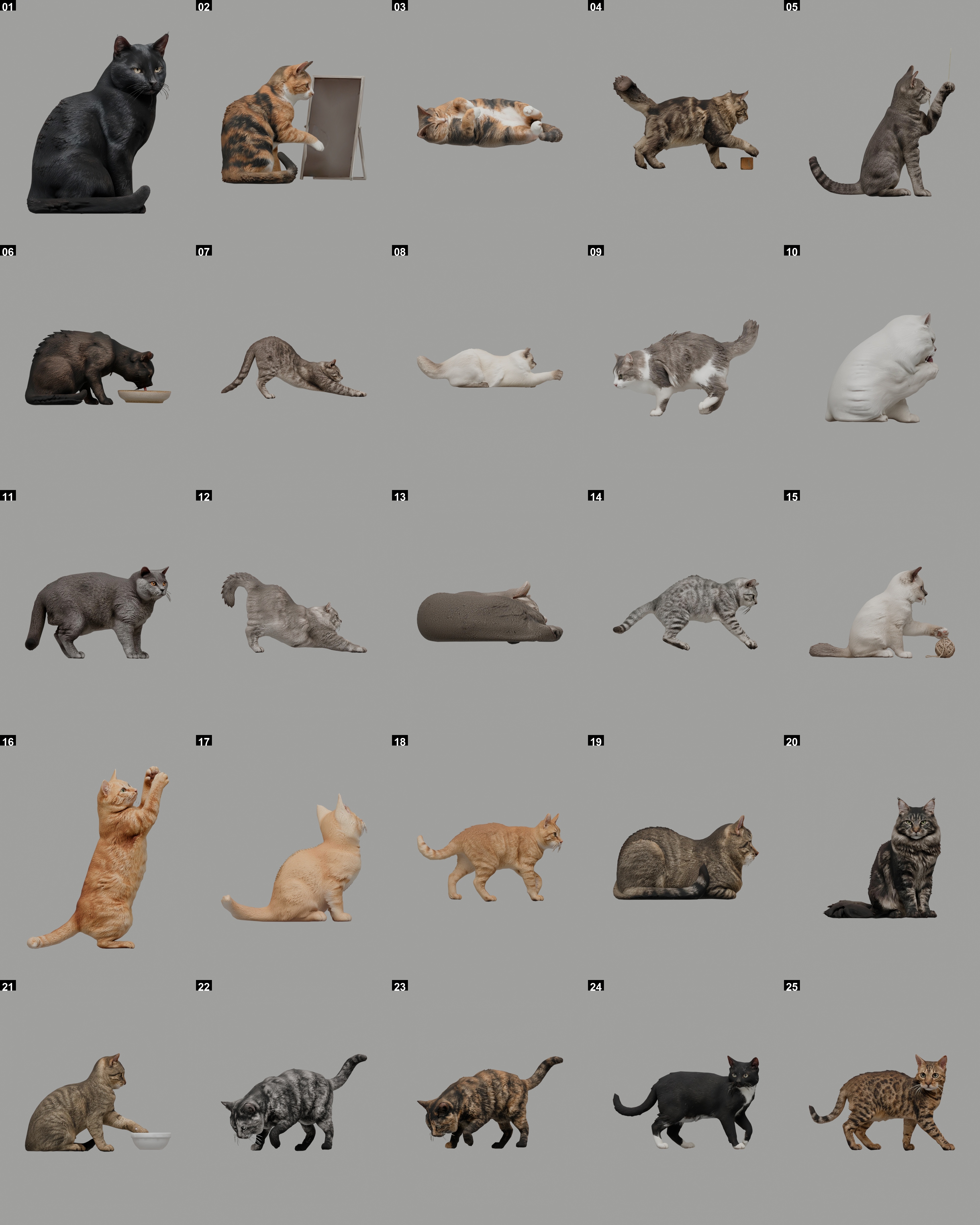 Full House Cats Collection with 25 assets