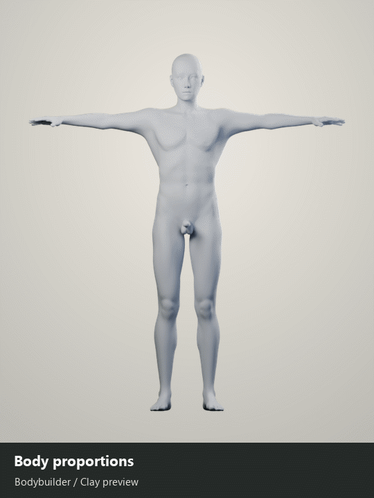 Body proportions in full view