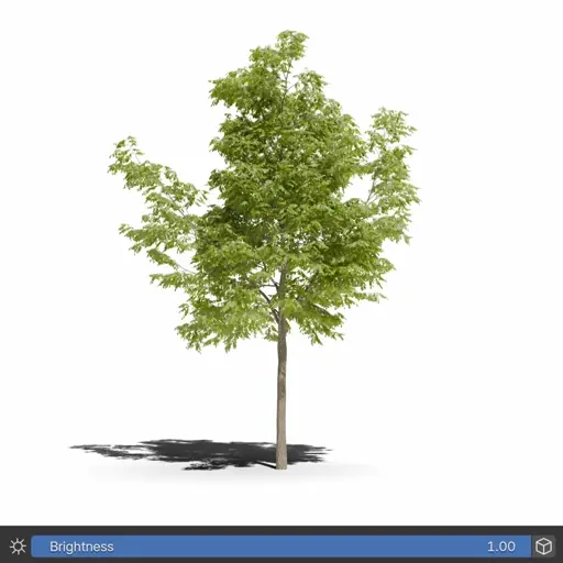 Seasons adjustments demonstration