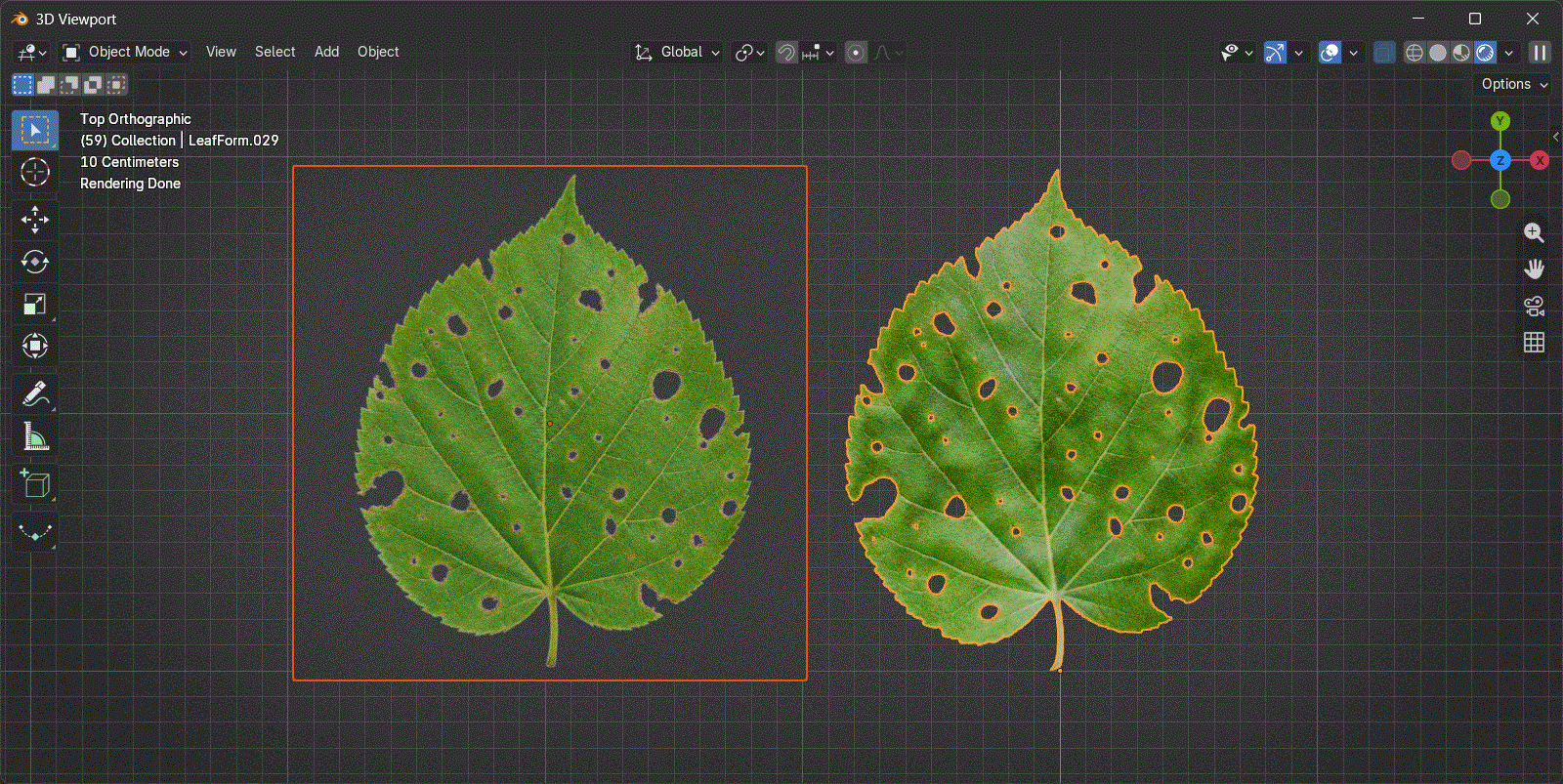 Flat image card compared with LeafForm curved geometry