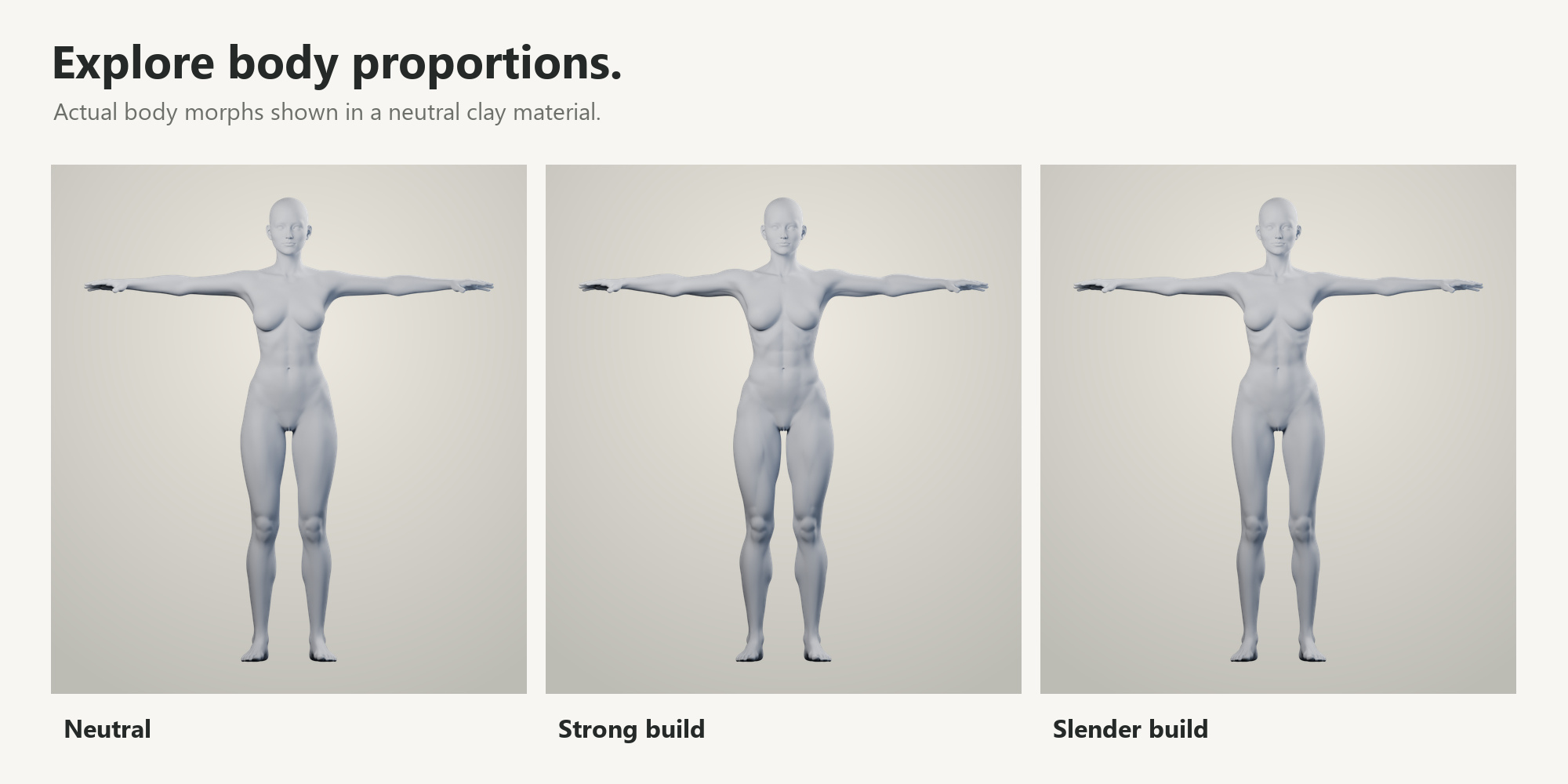 Neutral, strong and slender body proportions