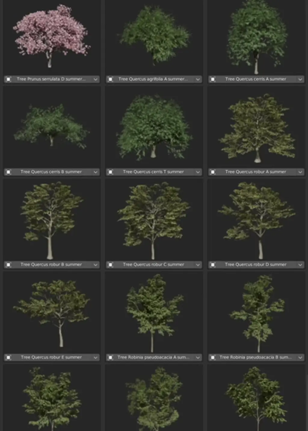 Examples of various assets from deciduous category