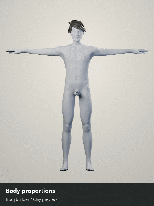 Body proportions in full view