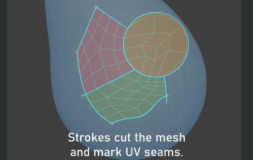 Drawn boundaries become seams. Generate a separate mesh with an automatic UV unwrap.