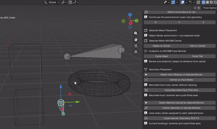 MMRR demonstration: Center Selected on Owned Meshes