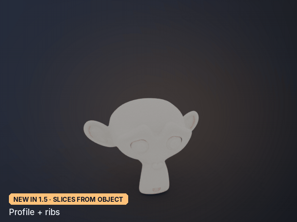 Profile and ribs sliced from a 3D model