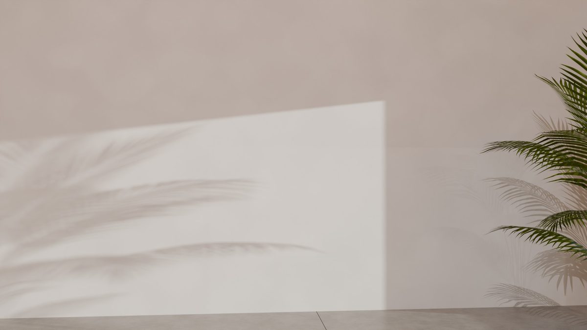 Plaster wall with low sun and a palm shadow