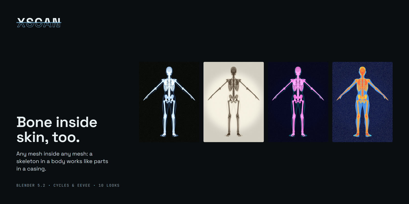 Skeleton inside a body in four looks