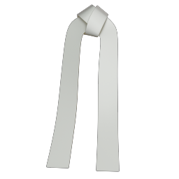 ACCS_Belts_Karate_Belt