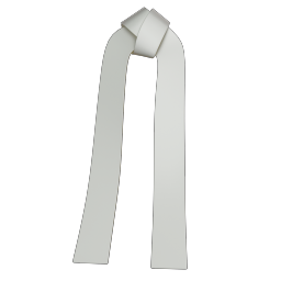 ACCS_Belts_Karate_Belt.001