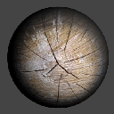 03CutTrunkASWoodAndBark