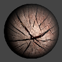 05CutTrunkASWoodAndBark