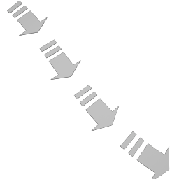 Dash10