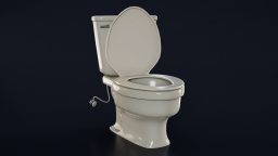 Toilet Clean