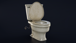 Toilet Dirty