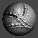 50DrawASSkinBurns