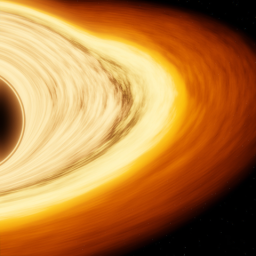 Black Hole Rings