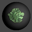 38PaintRectASForestMoss