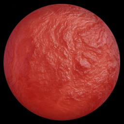 Blood Vessel Wall