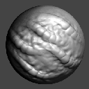 04DrawASBiomechanical