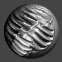 07DrawASBiomechanical