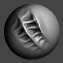 17DragDotASBiomechanical