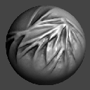 33DrawASBiomechanical