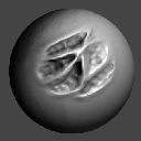 34DragRectASBiomechanical